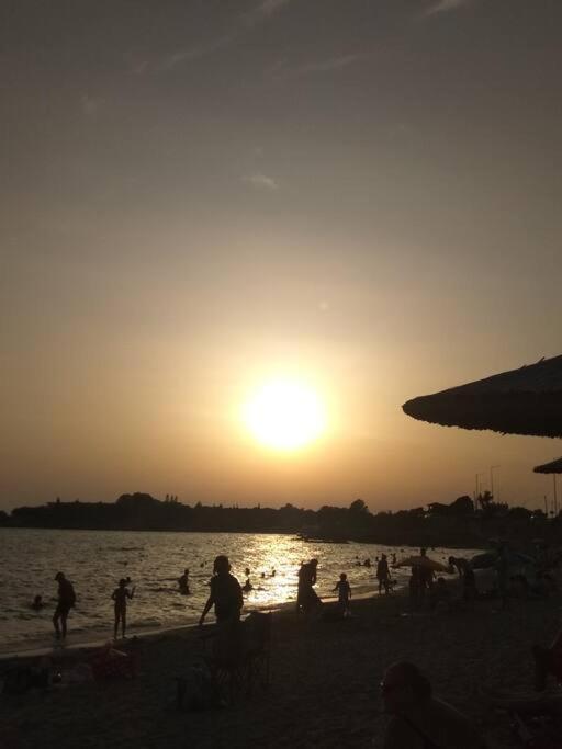 Cozy Villa Vita Lagonisi Kalivia Thorikou Dış mekan fotoğraf