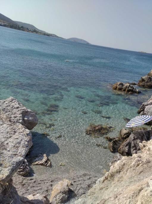 Cozy Villa Vita Lagonisi Kalivia Thorikou Dış mekan fotoğraf