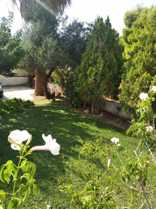 Cozy Villa Vita Lagonisi Kalivia Thorikou Dış mekan fotoğraf