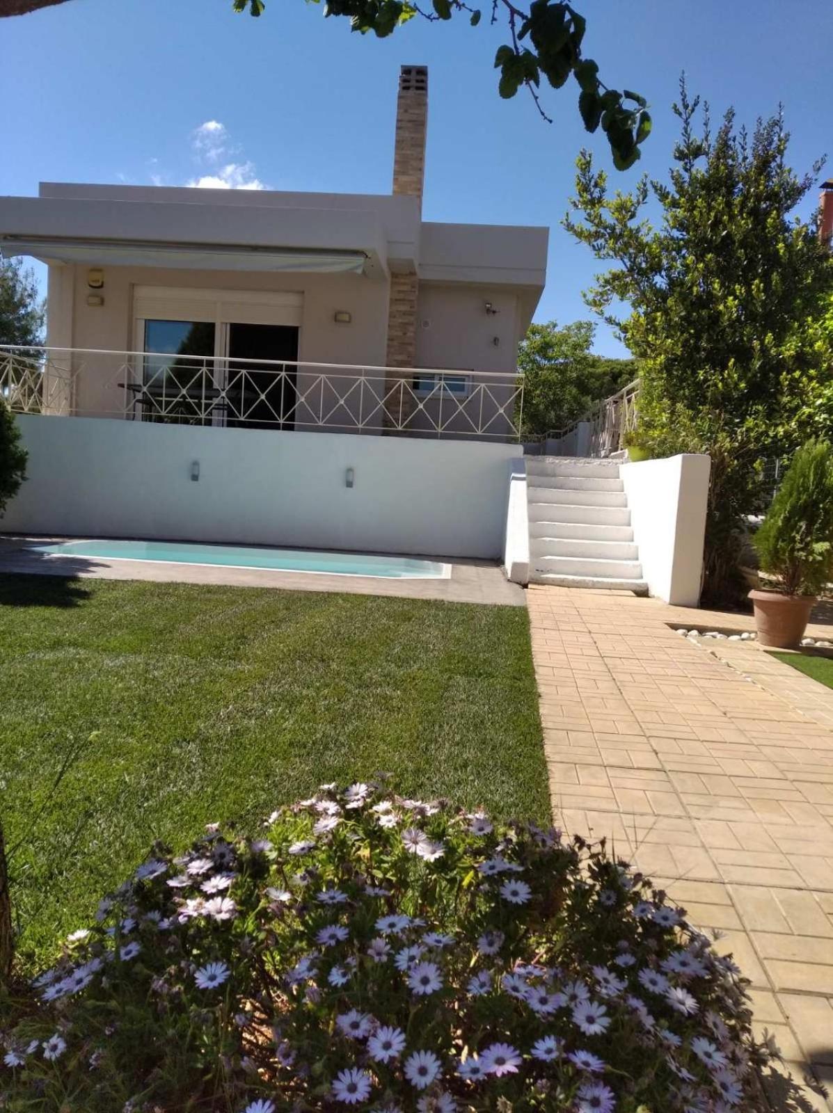 Cozy Villa Vita Lagonisi Kalivia Thorikou Dış mekan fotoğraf